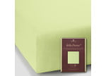 Limette 0531