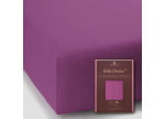 Fuchsia 0540