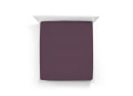Violett 0546 - Bella Donna Alto (bis 45cm)