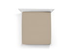 Champagner 0711 - Bella Donna Alto (bis 45cm)