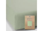 Pistazie 0532