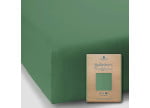 Olive 0533