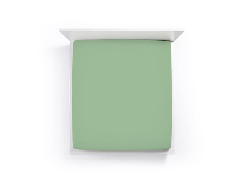 Olive 0533 - Bella Donna Alto (bis 45cm)