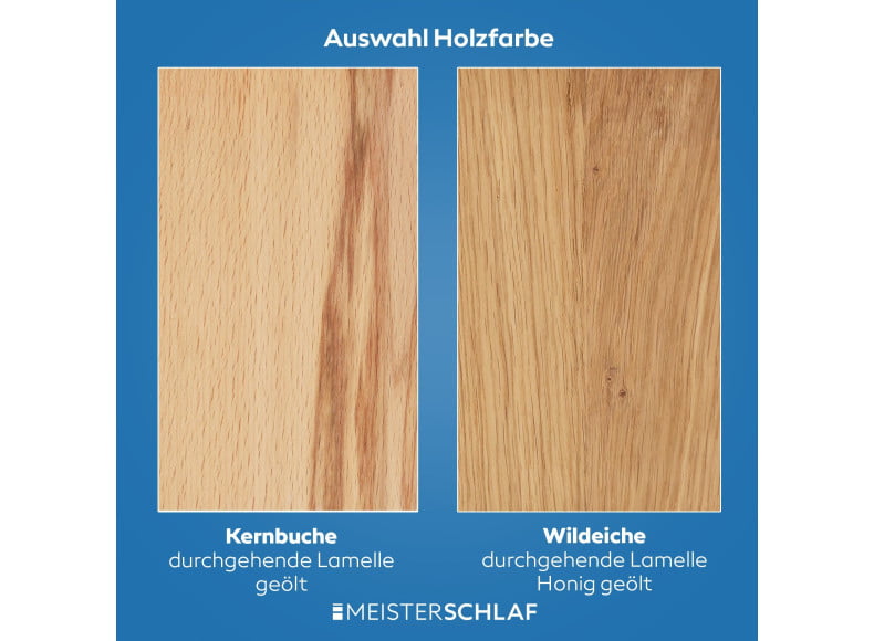 Im Vergleich Kernbuche zu Wildeiche