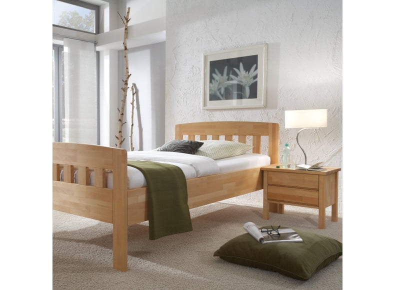 Abb. zeigt Kernbuche