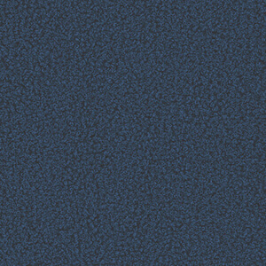 Bouclé 79 Marine